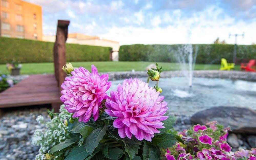 Hotel Le Victorin, An Ascend Hotel Collection Member Викториавилл Экстерьер фото